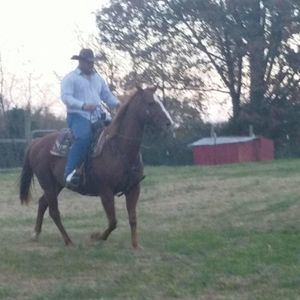 Meet your Posher, Cody